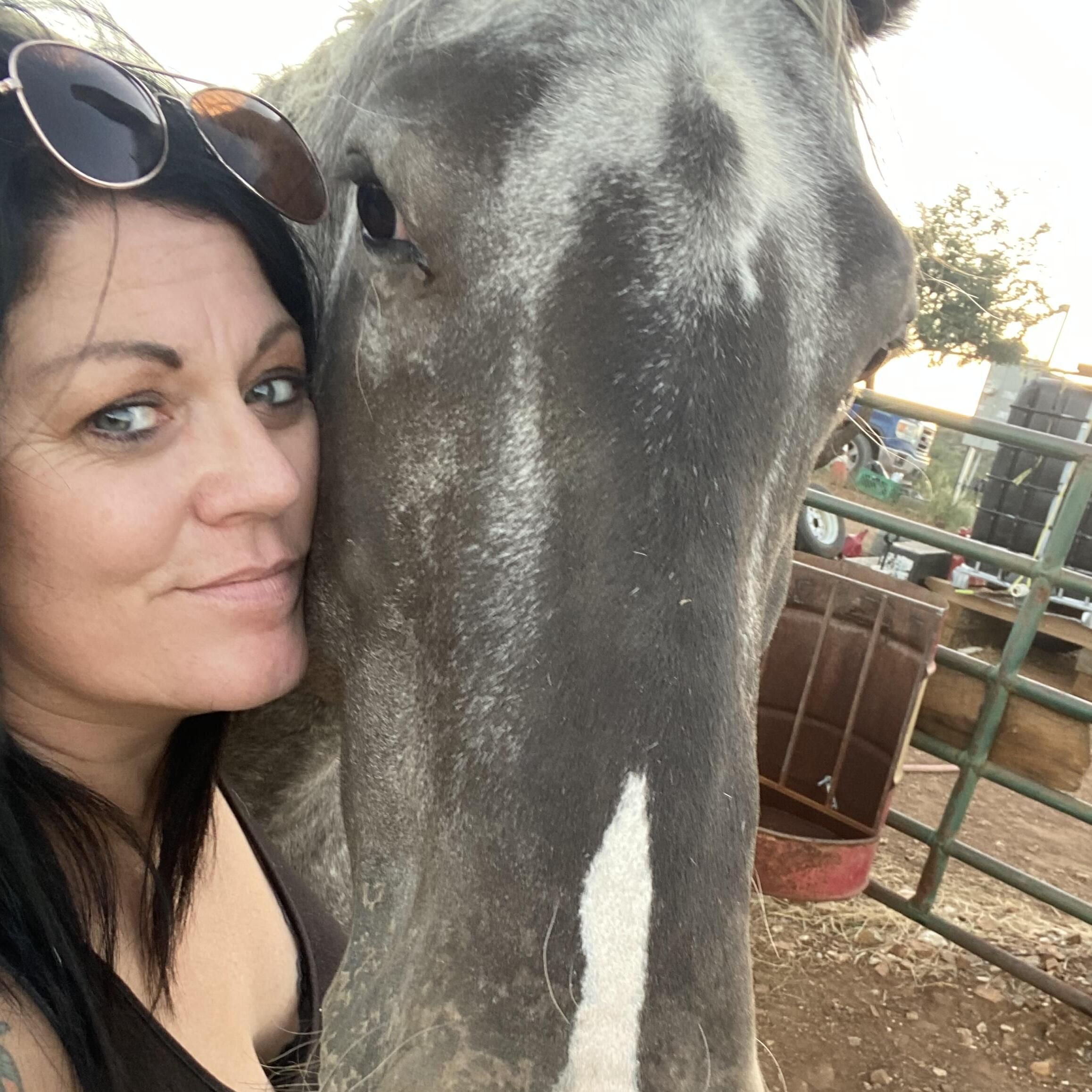 Green valley , Vail, Sahuarita Housesitter Interviewing For Job Opportunities in Arizona