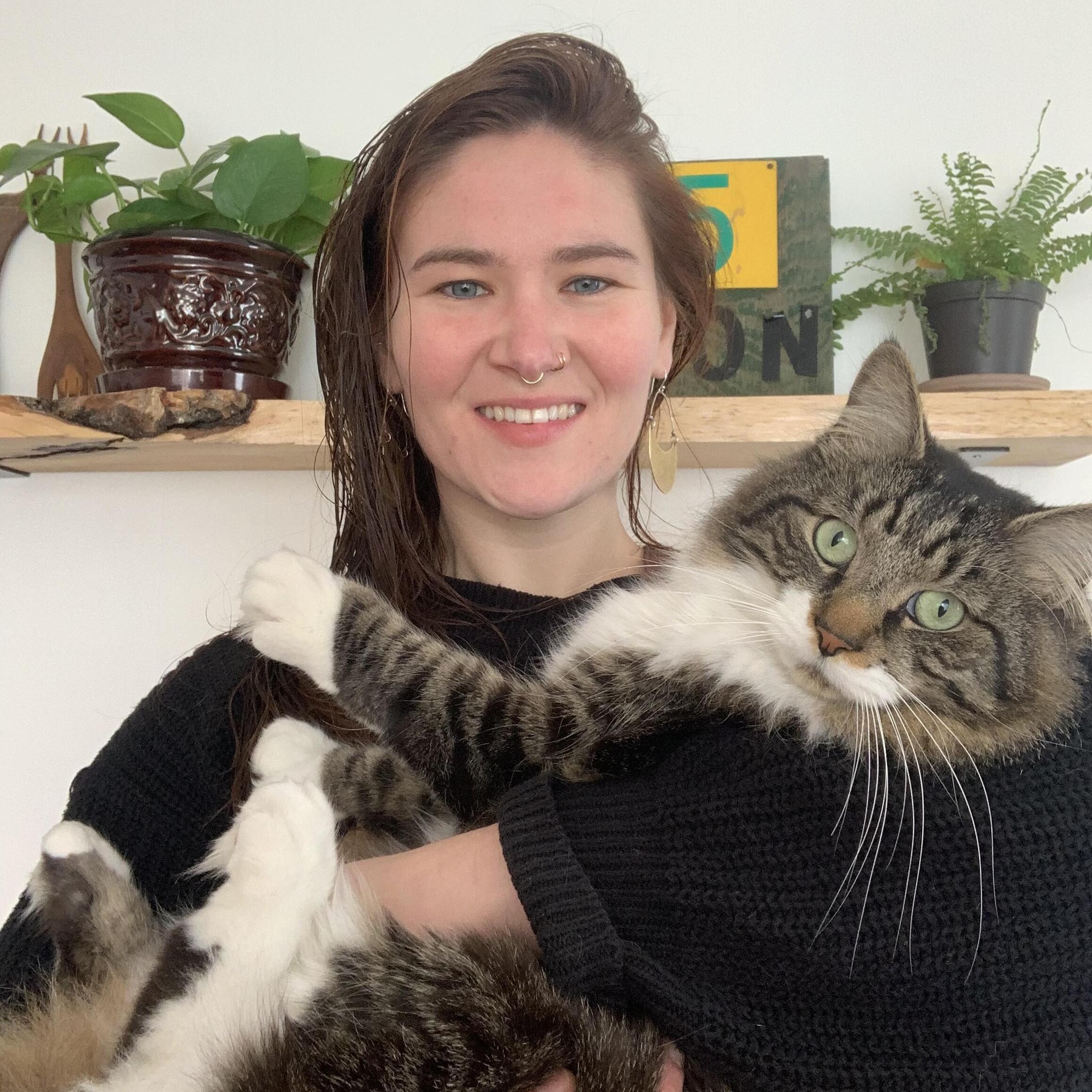 Experienced House Sitter in Surrounding Portland, ME Area