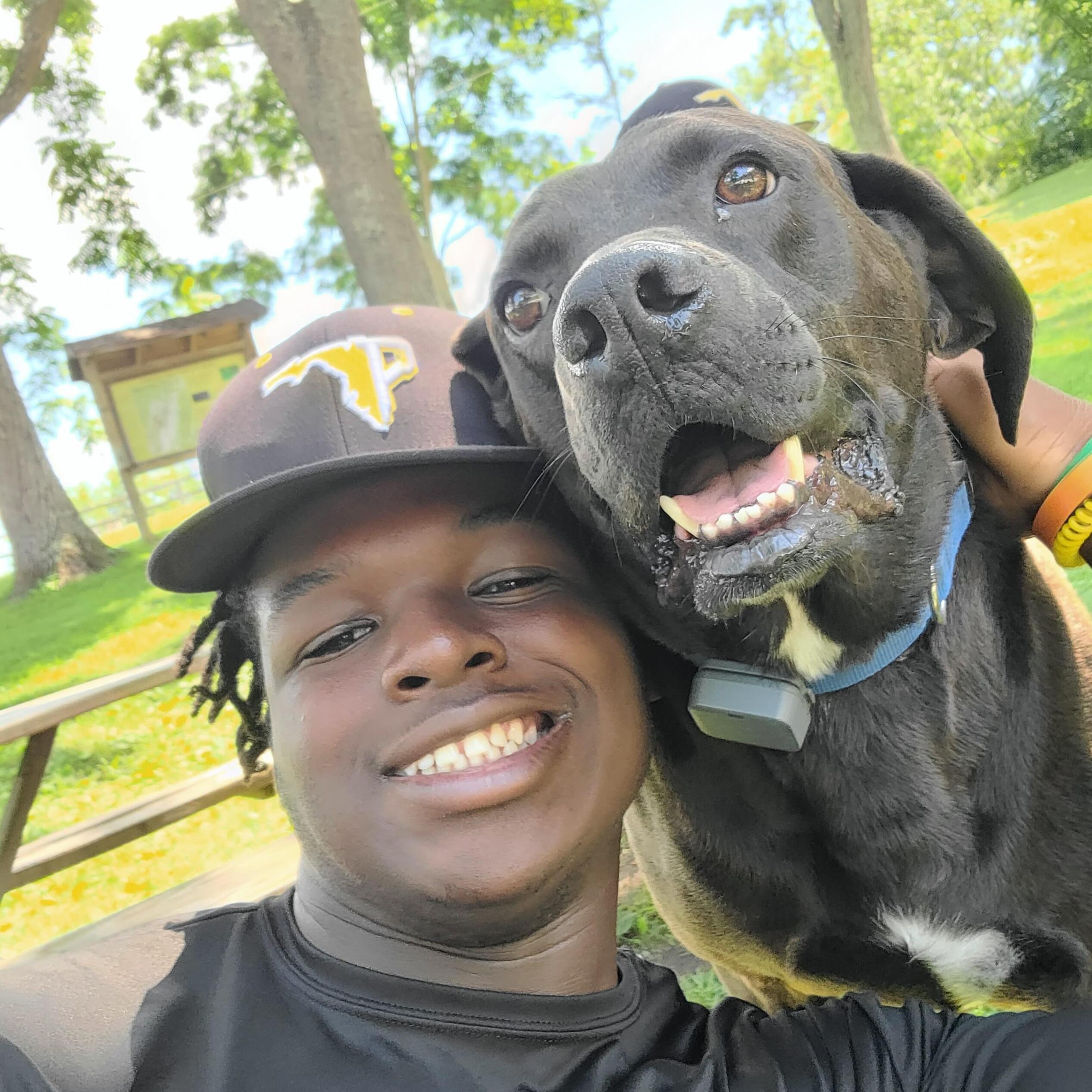 Experienced House Sitter and Dog Walker - Your Home and Furry Friend are in Good Hands!
