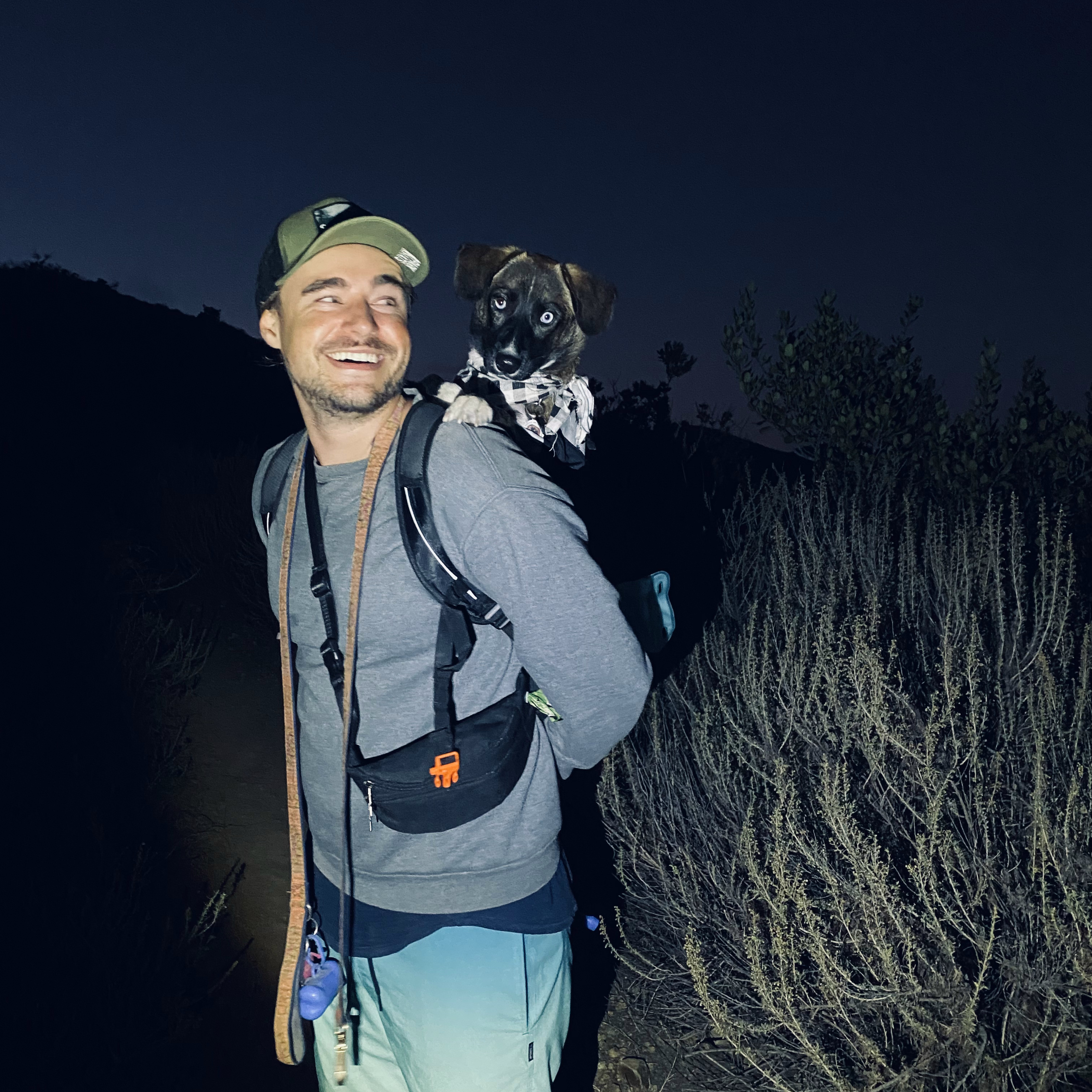 Hello! I'm Reed, a devoted house sitter ensuring peace of mind. I love pets, plants, and maintaining homes with care.