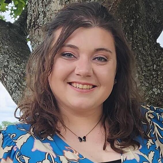 Excellent House Sitter Available