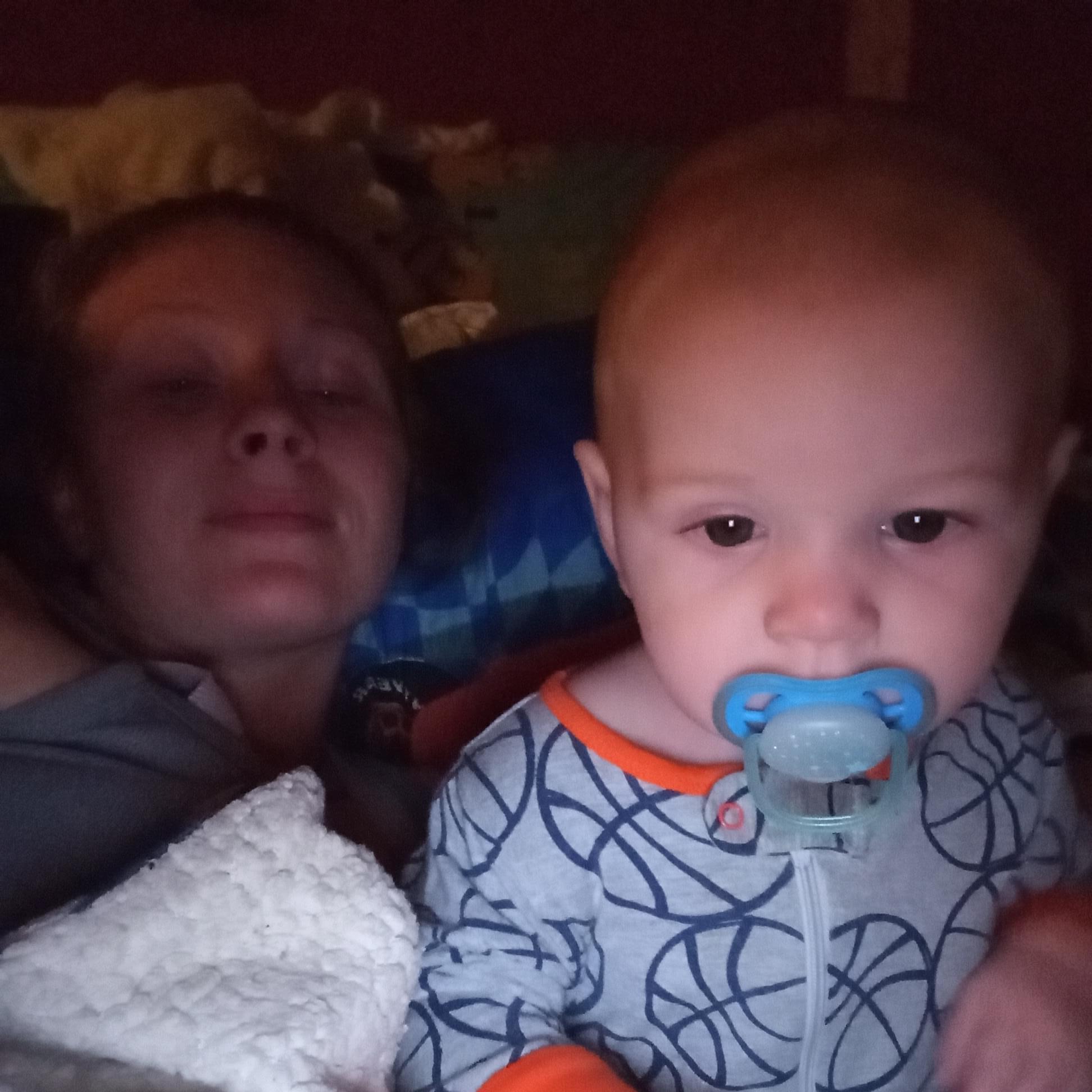 Present House and Petsitter in Dayton