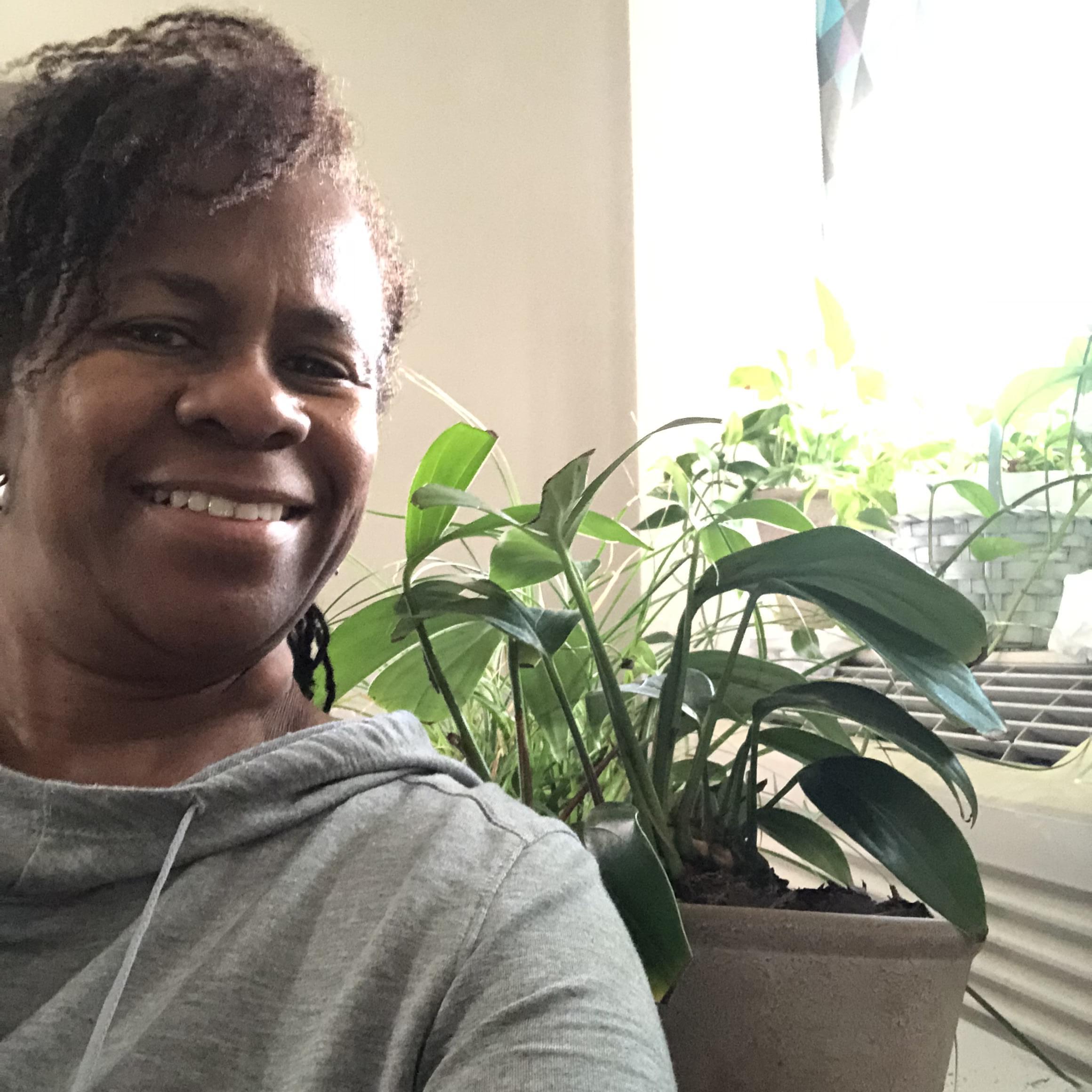 Omaha, Nebraska House Sitter - $300/day - Safe & Reliable Home Care Services