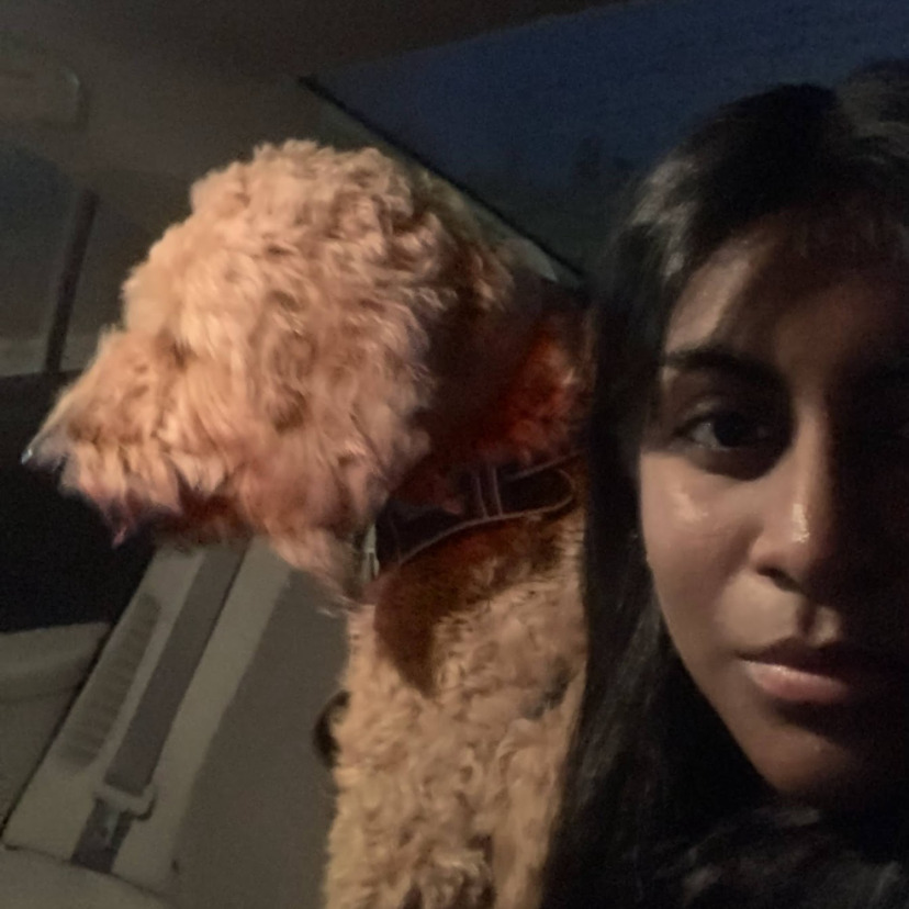 Bennington & Omaha House Sitter $17/hr Ready to Take Care of Your Home!