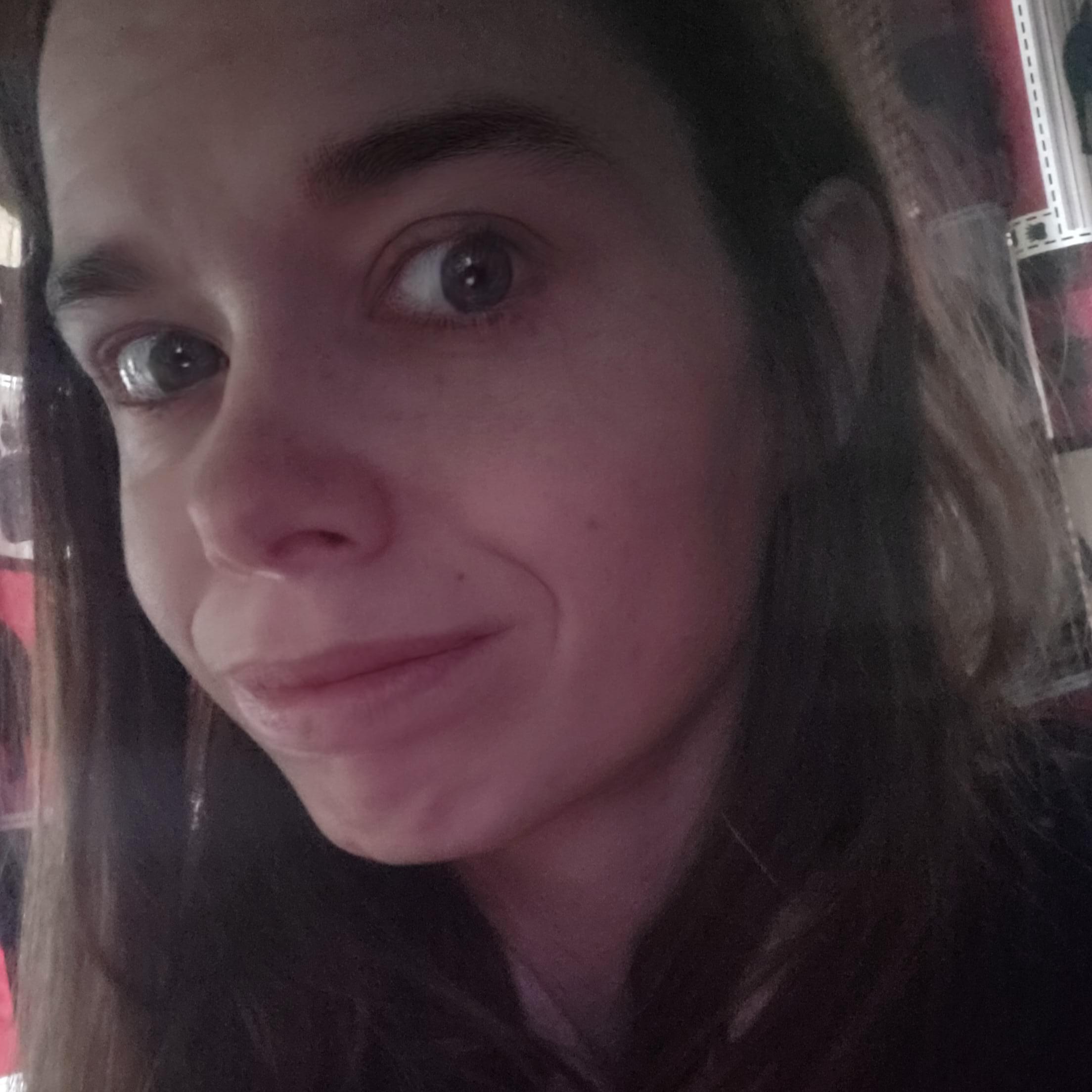 Experienced House Sitter in Wolcott, Vermont - $40/Day - Ready to Look After Your Home While You Are Away!