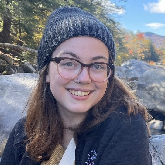 High School Teacher Offering Summer House Sitting Services