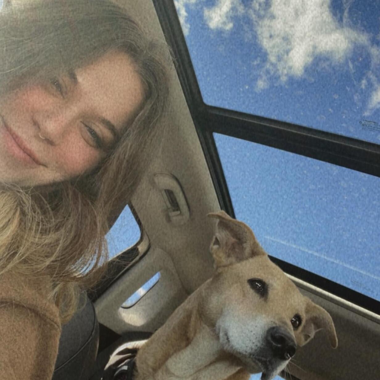 Reliable Pet/Home sitter interested in Phoenix jobs