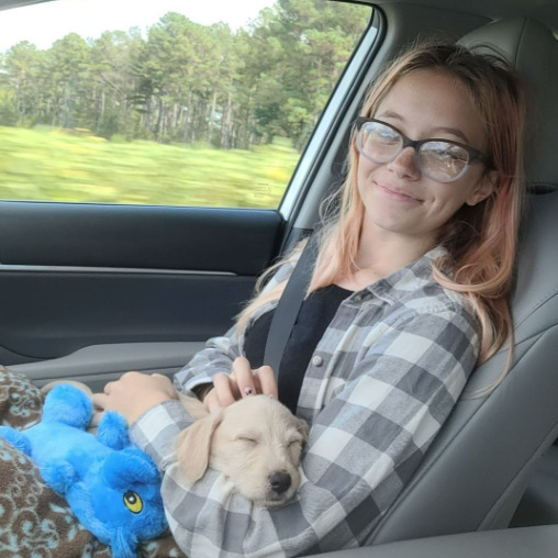 For Hire: Talented House and Petsitter in Wilmington, North Carolina