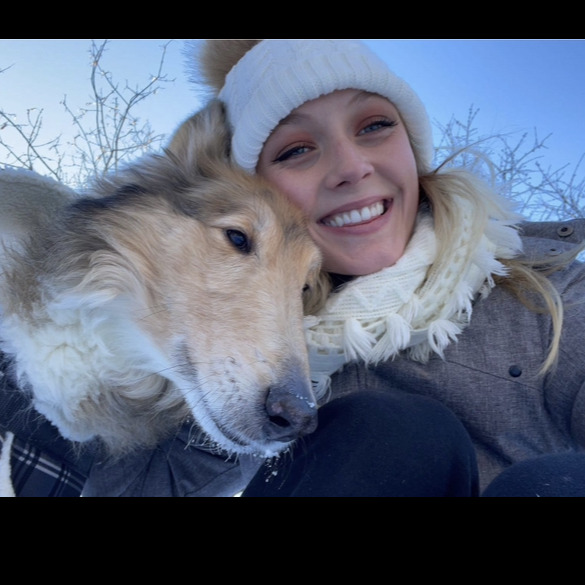 Experienced House Sitter in Hull, Quebec Reliable and Trustworthy $25/Hour