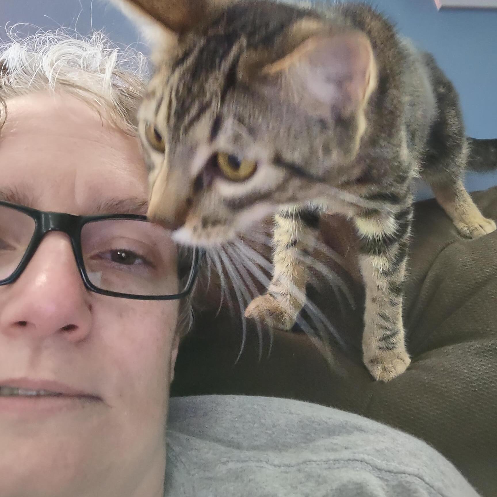 House Sitter in Winston-Salem, NC: Trustworthy & Experienced $20 Daily