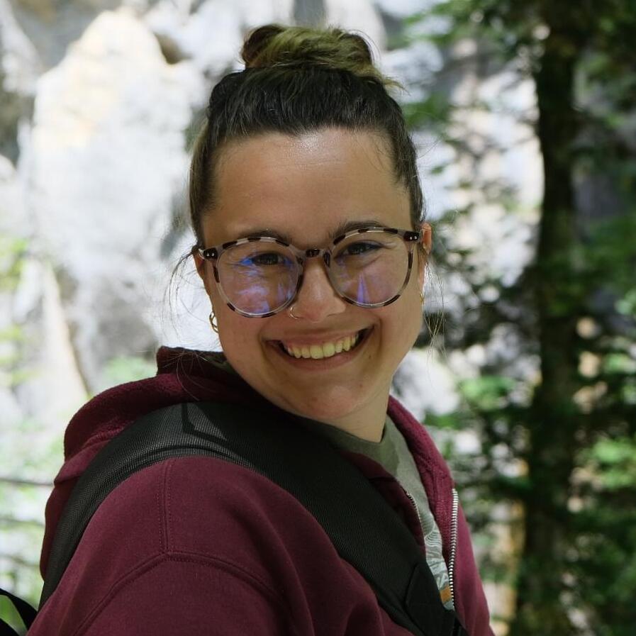 Ypsilanti, Michigan House Sitter - $50/day - Reliable, Responsible, Trustworthy