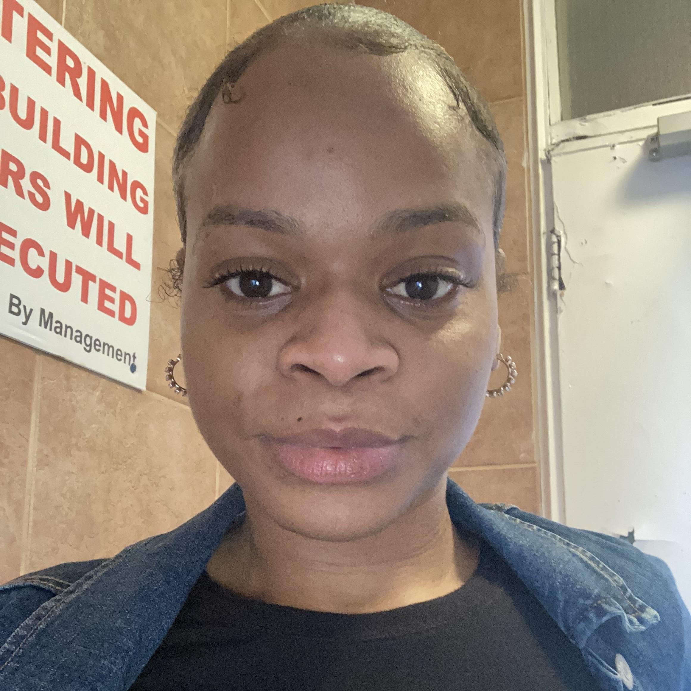 Toronto House Sitter - $16/day - Fully Trained, Trustworthy & Friendly