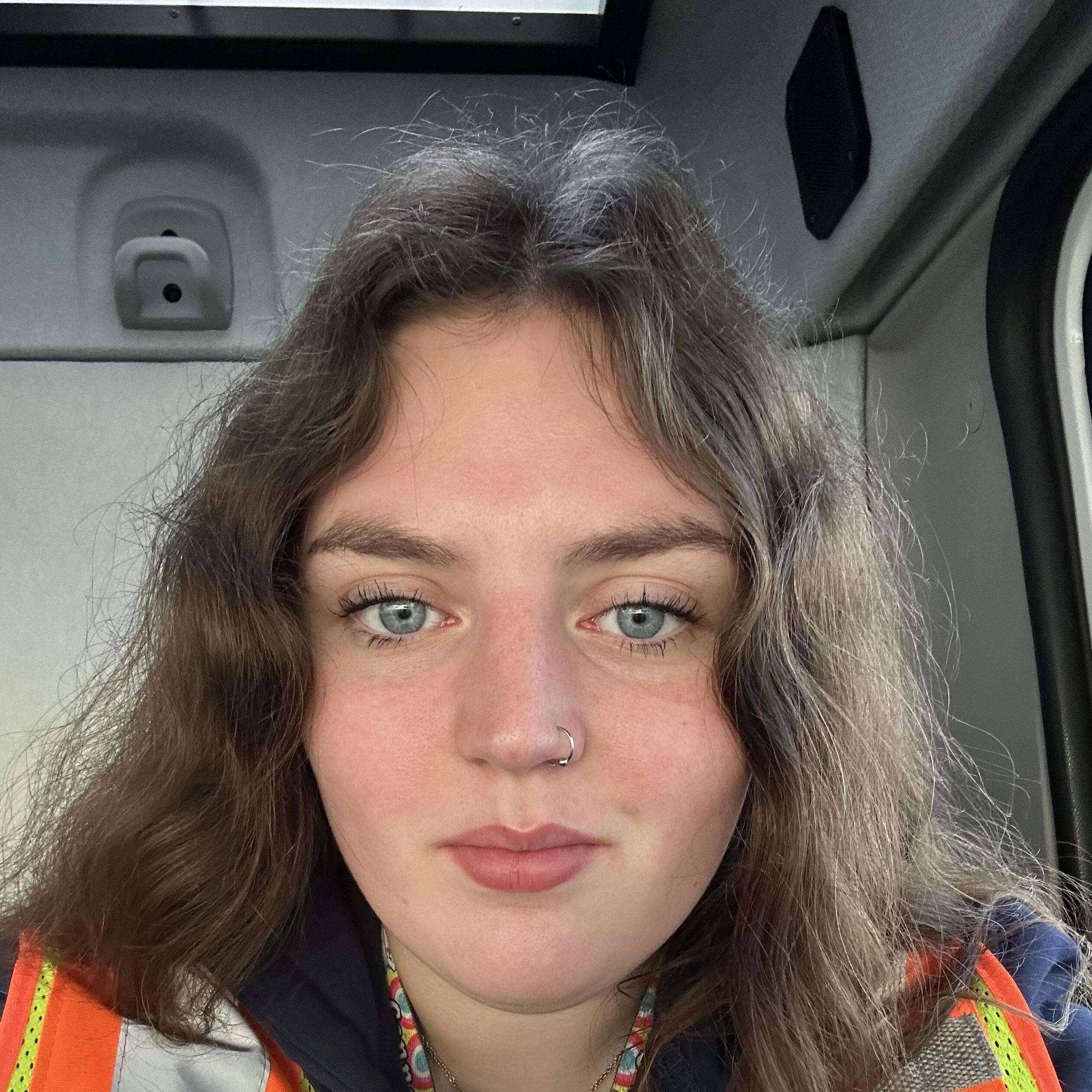House Sitter/ Chore Helper in Anchorage, Alaska - Reliable & Affordable