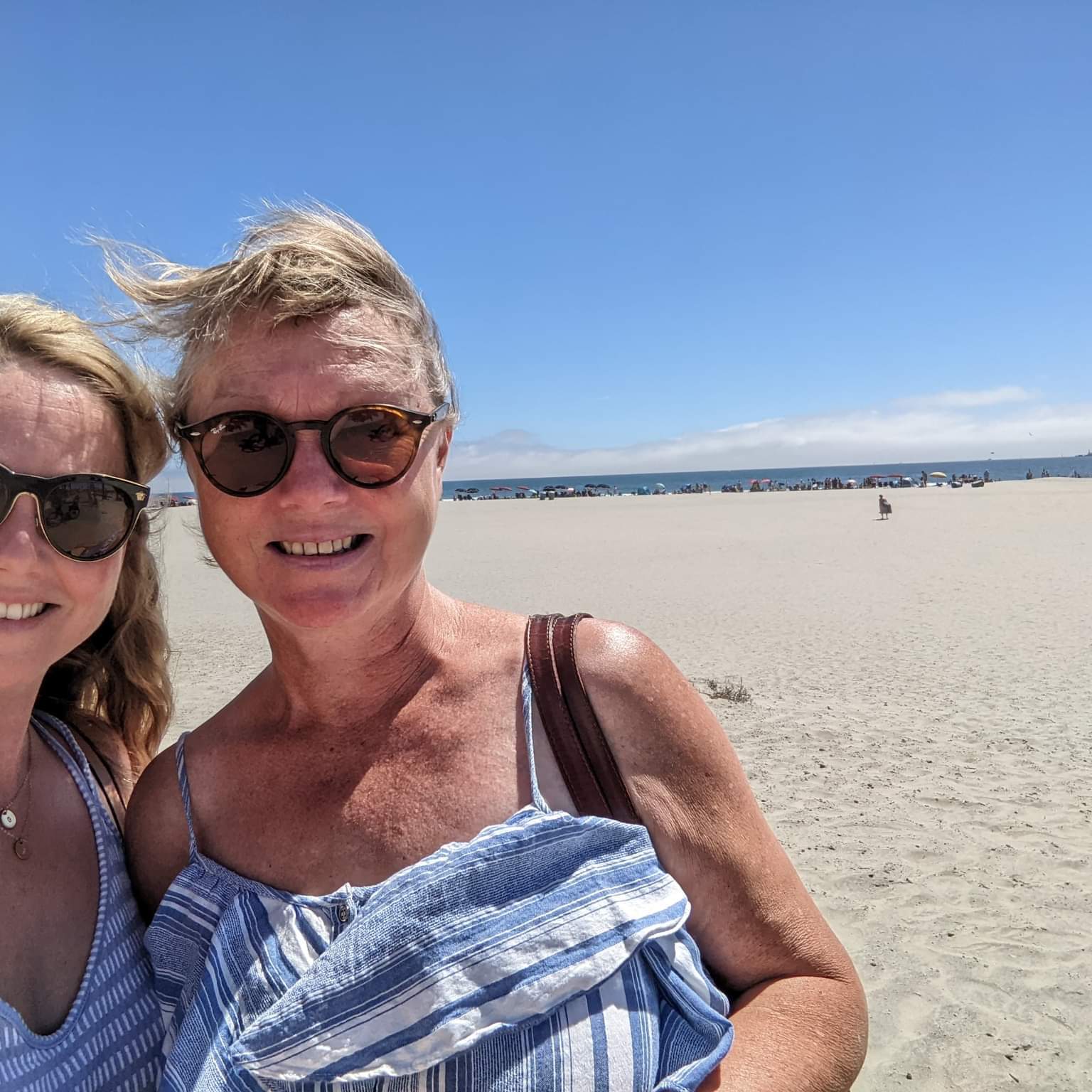 Experienced House Sitter in Chingford, England - Trustworthy, Reliable, and Affordable Services