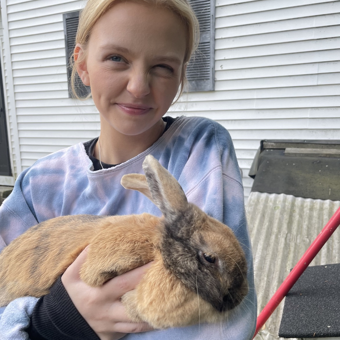 Experienced Pet Sitter in Concord, NH - $14.0/hr - All Pet Care Services