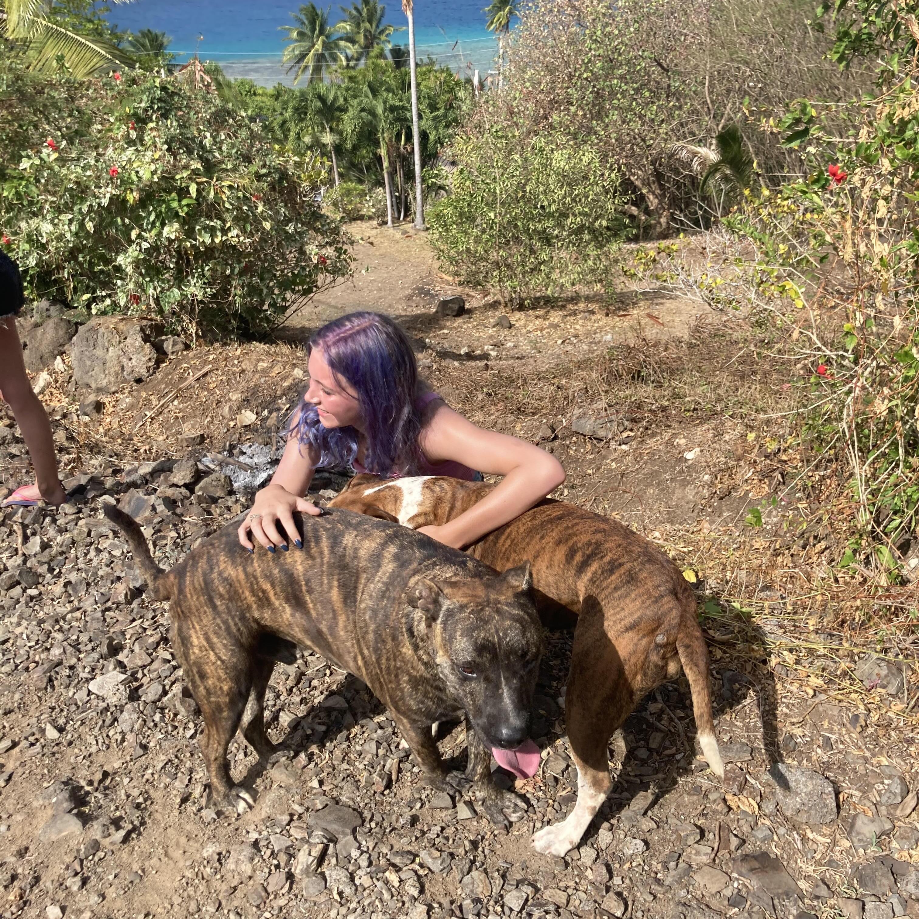Most Caring Pet Care Provider in Carlsbad