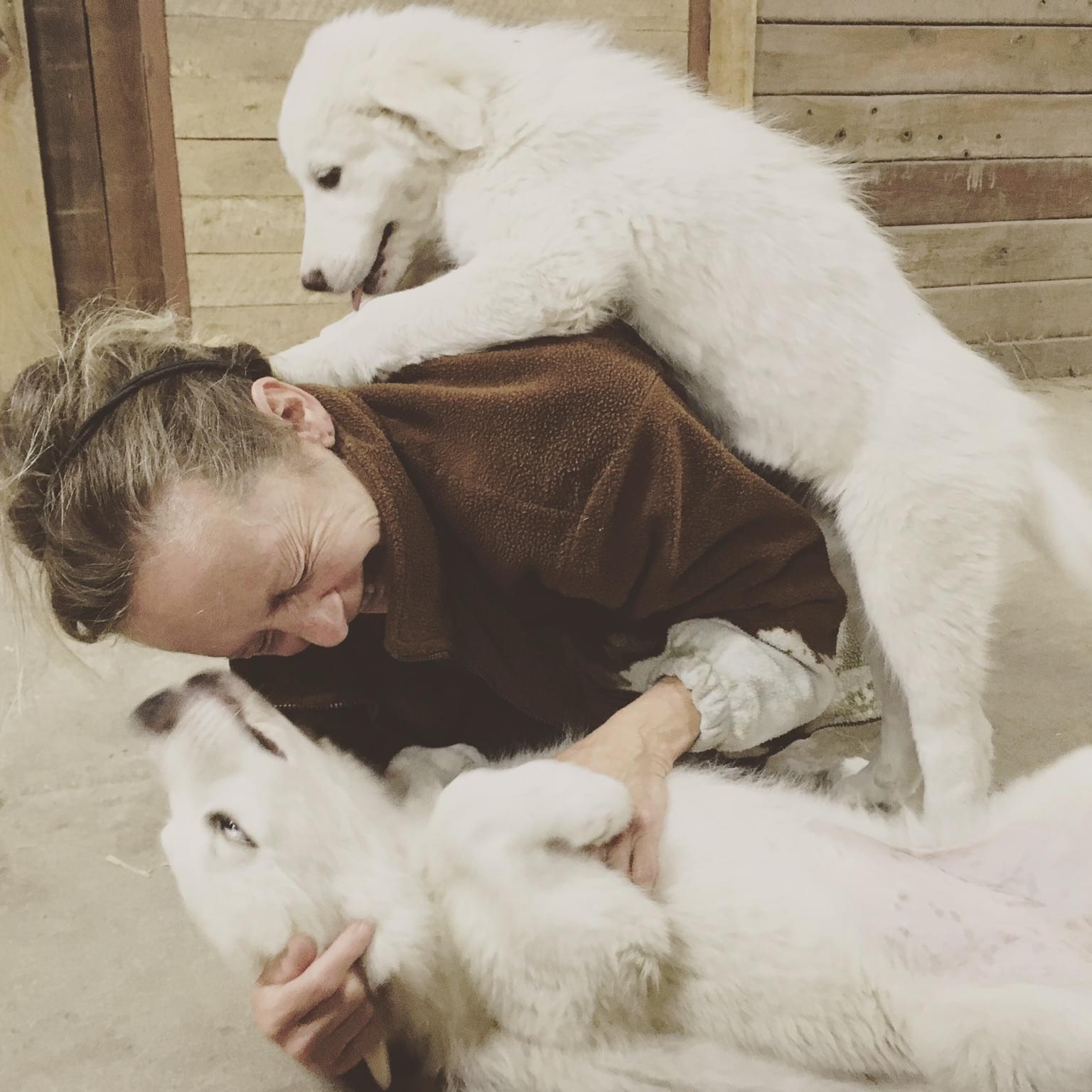 Experienced Pet Care provider in Whitby, Ontario