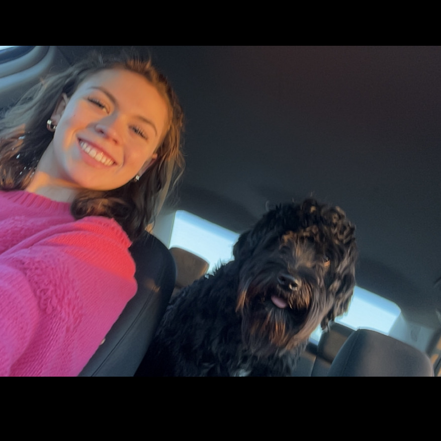 Experienced and Reliable Pet Sitter in El Centro, CA - $20/Day