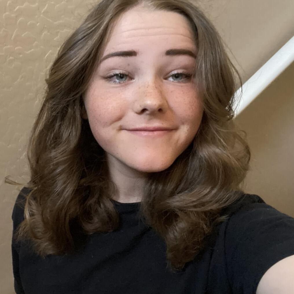 Babysitter Offered in Dewey! I am 15, and looking to help out with kids.