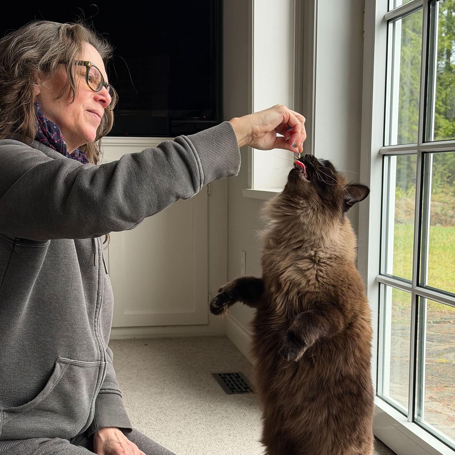 Experienced House Sitter in Victoria, BC Reliable, Trustworthy, and Pet-Friendly