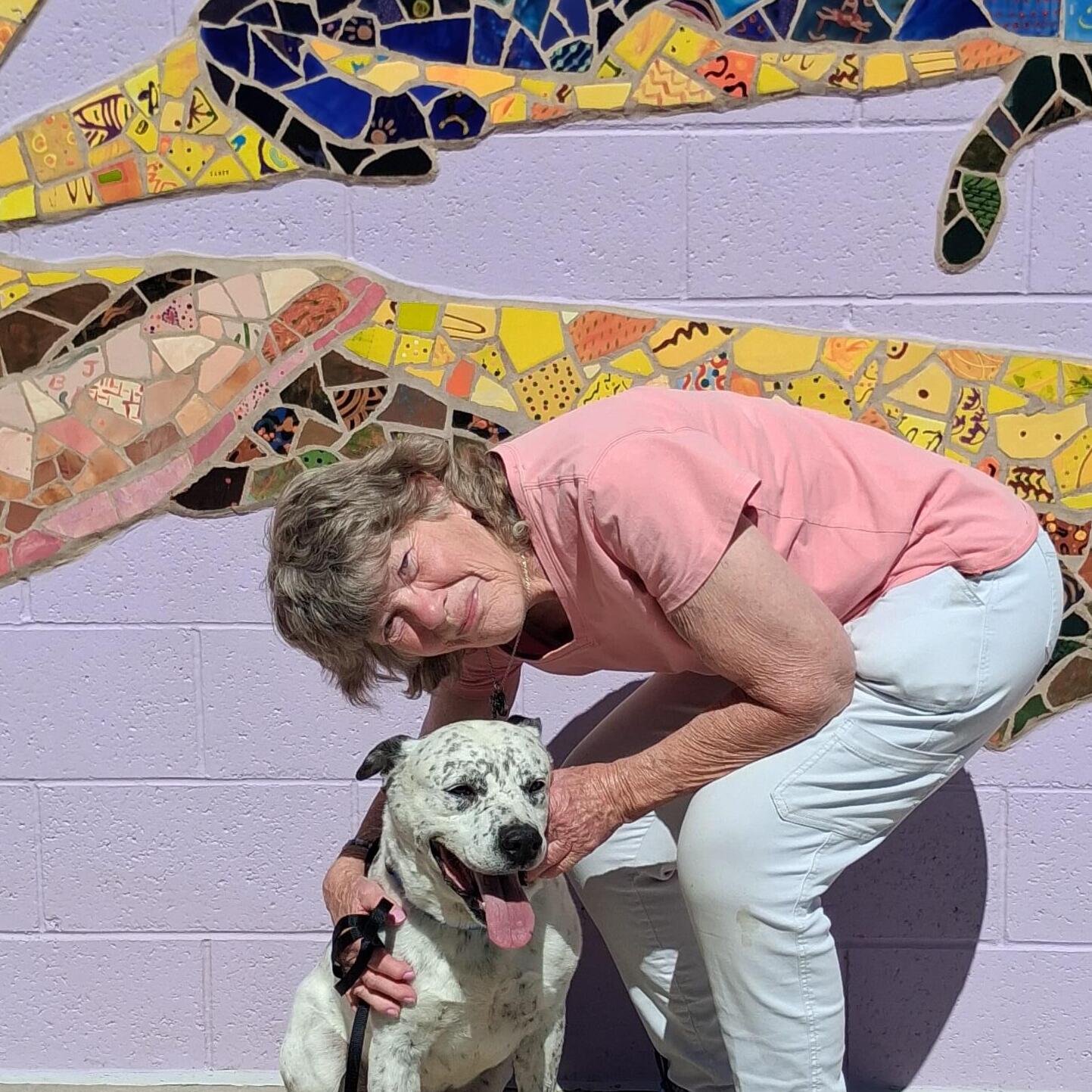 Experienced House Sitter in El Paso, Texas - Trustworthy and Reliable!