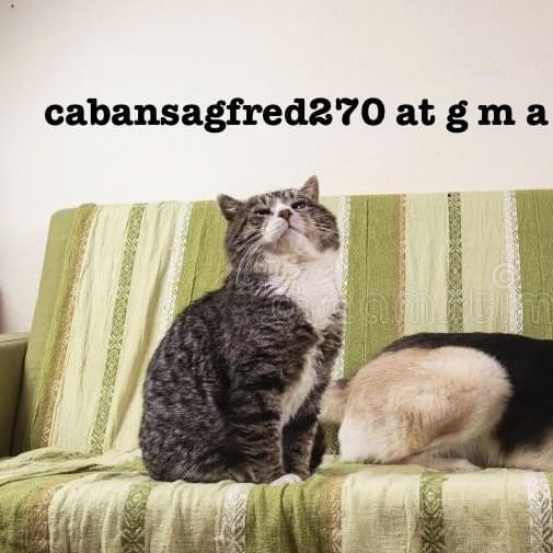 Seeking Reliable House Sitter in New York, NY - $150 Daily Pay for Caring Home Guardian!