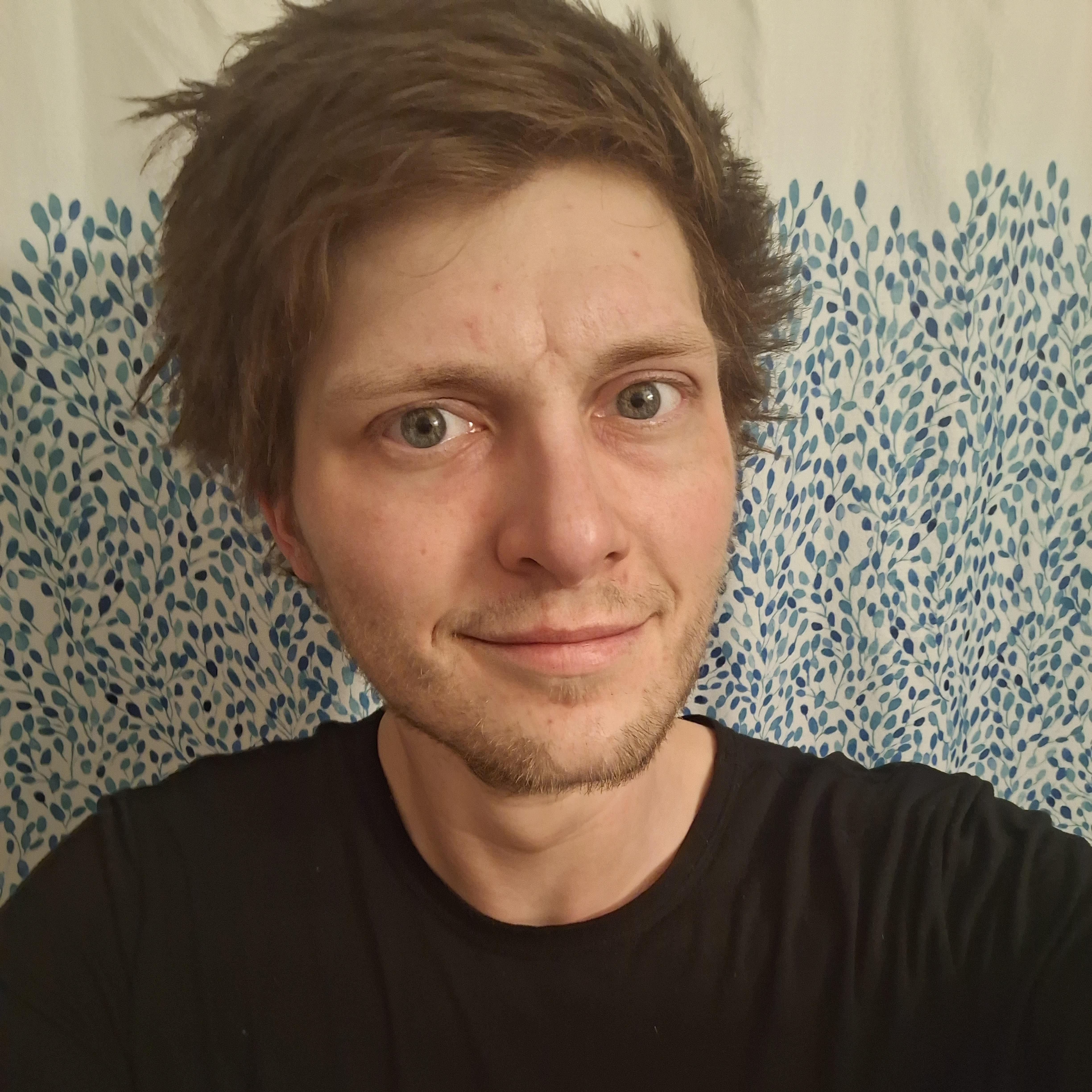 Wasilla House Sitter Available For Being Hired