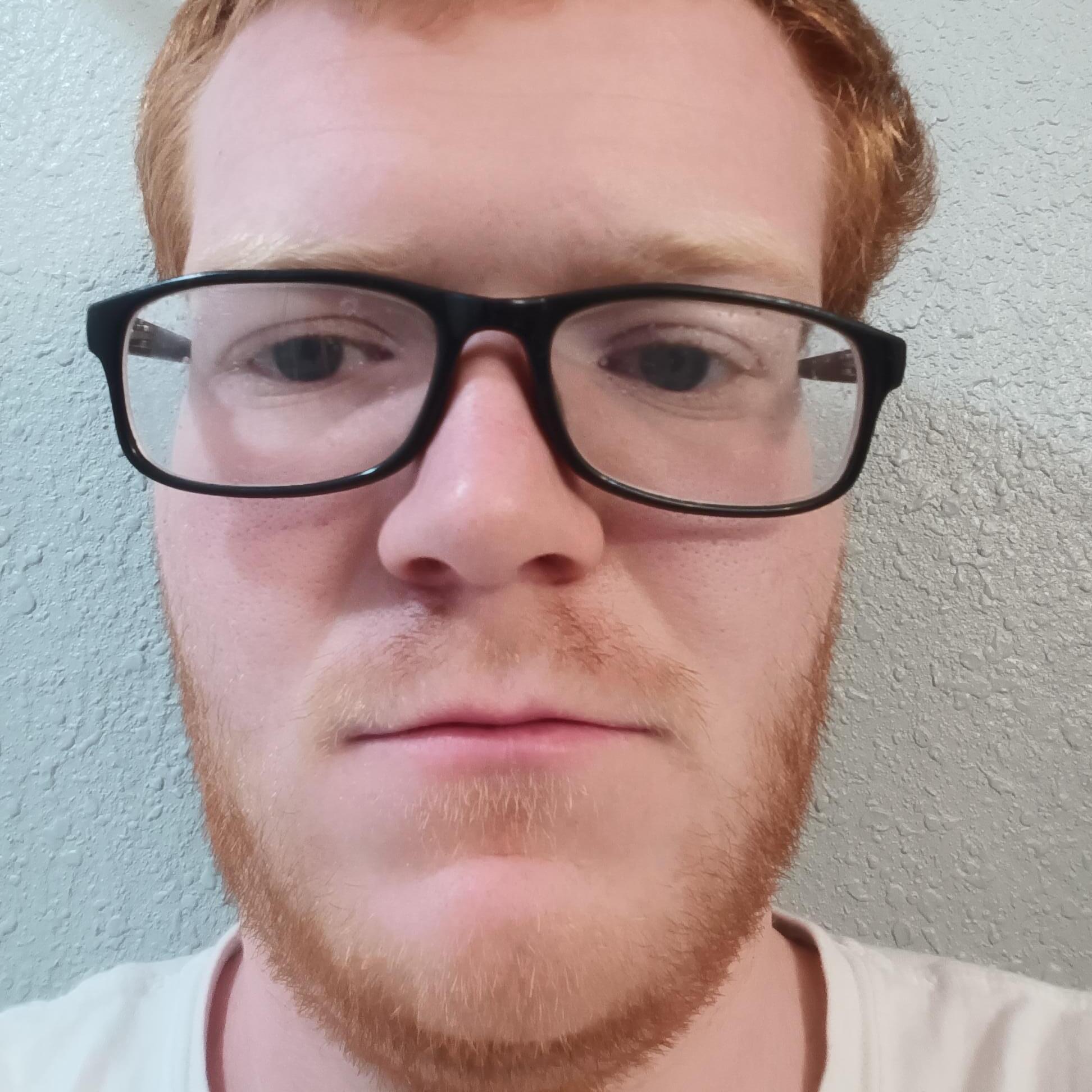 Phoenix House and Plant Sitter Seeking Work