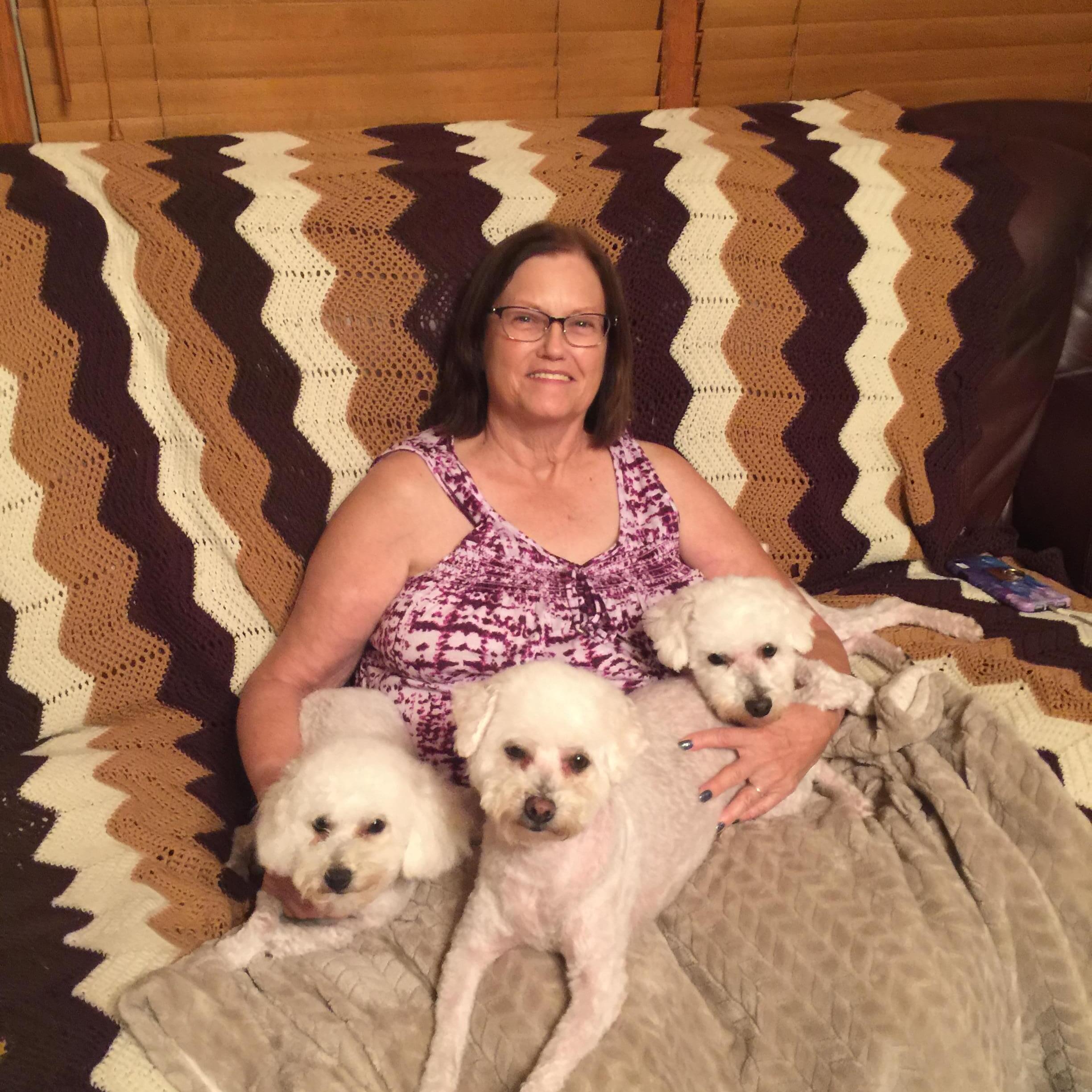 St. Peters House Sitter Available For Work