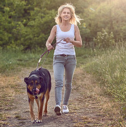 Experienced-Caring-House & Pet Sitter Boulder, Colorado and Surrounding Areas