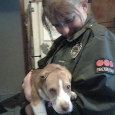 Santa Fe House and Pet Sitter Available For Work