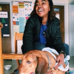 ISO Housesitting Job. Reliable and Adorable!