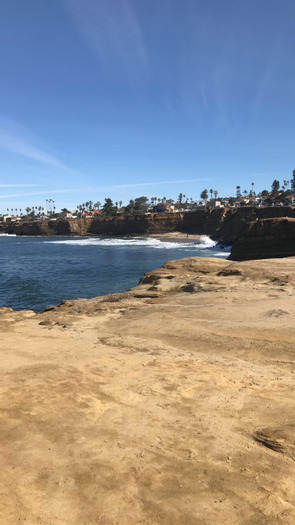 Available: Dedicated House Sitting Professional in Phoenix