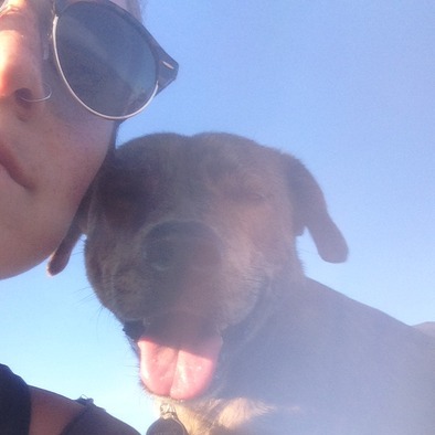 Here from California to climb at Smith Rock and care for you house/pets at the same time!