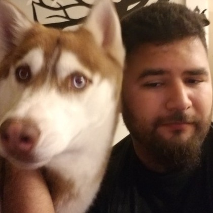 Goodyear Housesitter/ Guardian Looking For Being Hired
