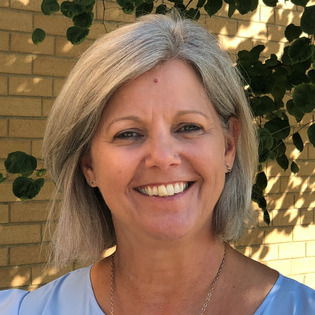 Belleville, Illinois House and Plant Sitter