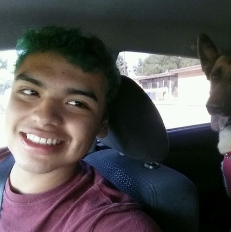 Excellent and Reliable House Sitter Available Today
