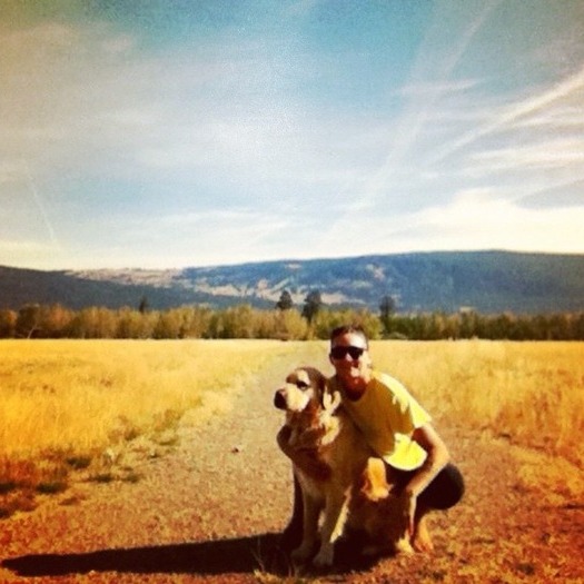 Responisble and reliable Housesitter Available!