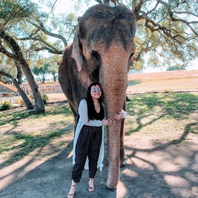Kyle House Keeper Searching for Job Opportunities in Texas
