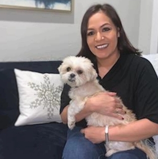 Experienced housesitter available
