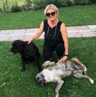 Sitting Your Pet Or Home