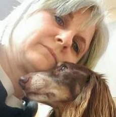 House and Pet sitter