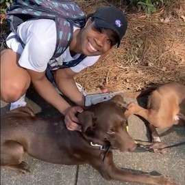 Available for house sitting jobs in Charlotte, NC!