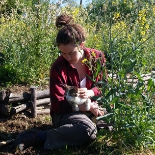 House/garden/pet sitter available!