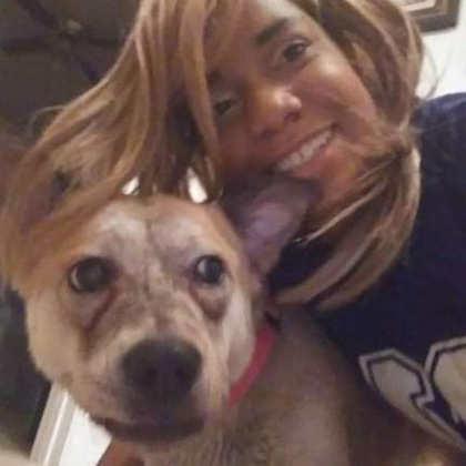 Hardworking House and Petsitter in Dallas, Texas