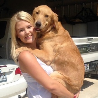 Well Trained House and Petsitter in Fayetteville