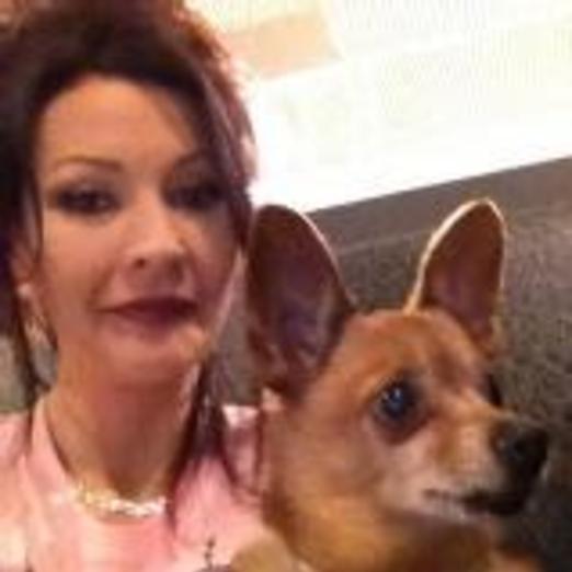 Cleaining, caring, bondable, mature housesitter.