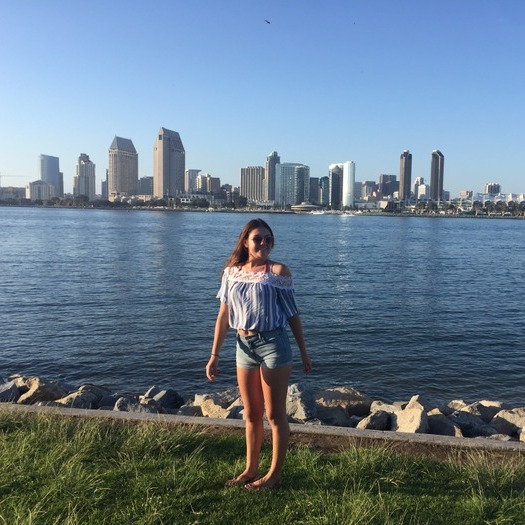 Hard Working House Sitter for Your Home
