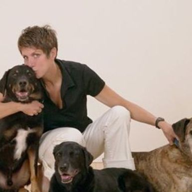 Dog loving house sitter......