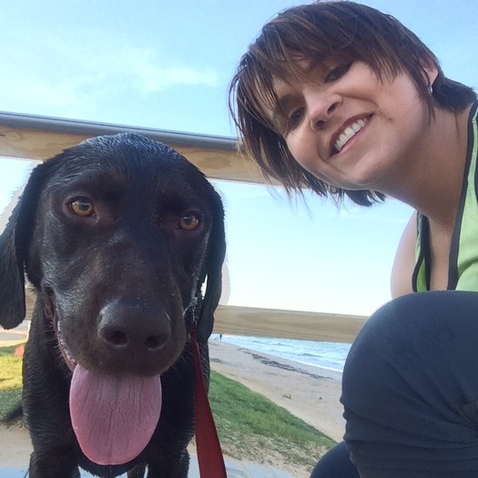 Searching for a House Sitting Provider Opportunity in Jacksonville